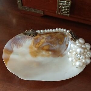 Shell Soap Dish